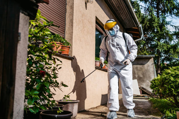 Trusted Trinity, NC Pest Control Experts
