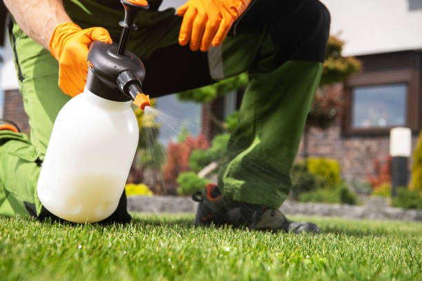 Best Ant Control Services  in Trinity, NC