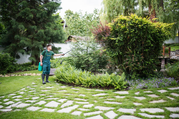 Best Affordable Pest Control Services  in Trinity, NC