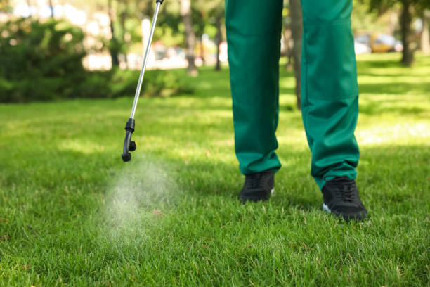 Best Flea Control Services  in Trinity, NC
