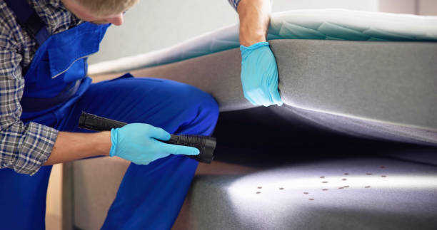 Best Pest Control Treatment  in Trinity, NC