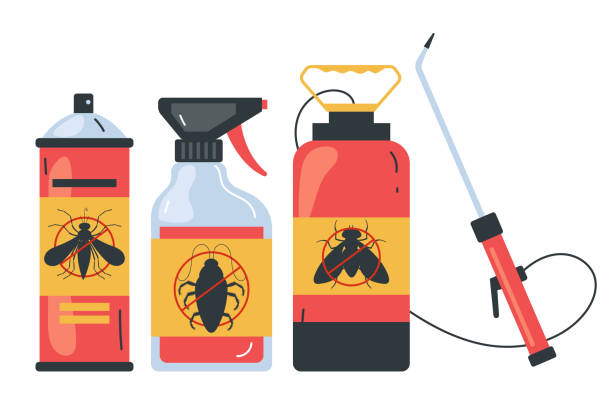 Best Spider Control Near Me  in Trinity, NC