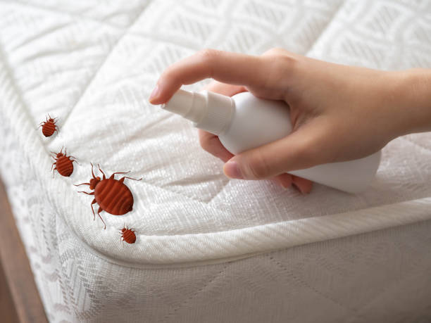 Best Affordable Pest Control Services  in Trinity, NC