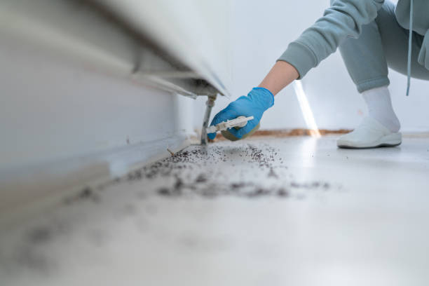 Best Exterminator Services  in Trinity, NC